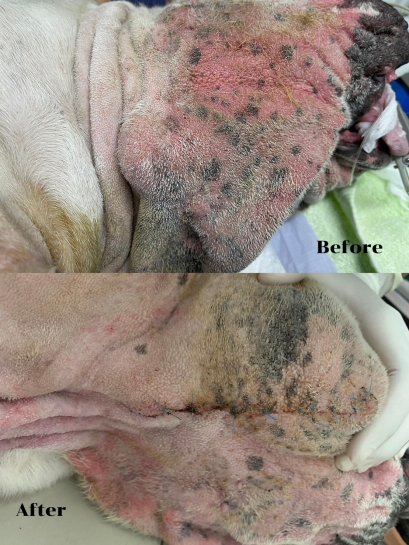 น้องซูโม่มาด้วยอาการ มีก้อนที่คอด้านซ้าย ขนาด 5 cm